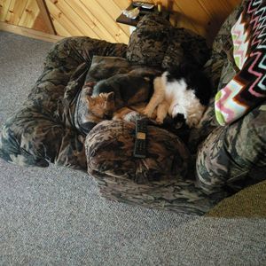 Meet your Posher, Shannon